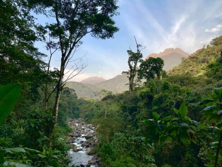 Voluntourism scenery