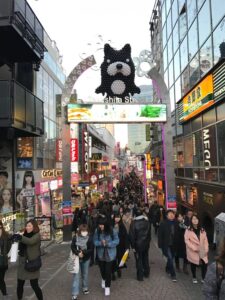 Overtourism in the travel industry in Takeshi St